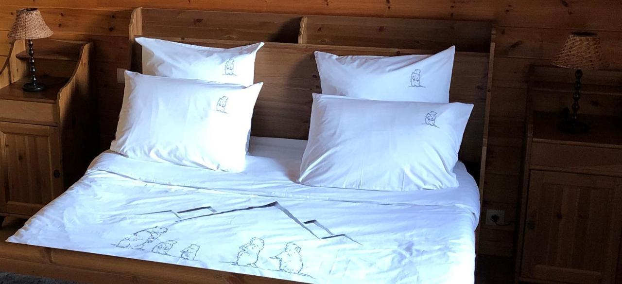 Névache Inspiration Montagne Chambre D'Hotes المظهر الخارجي الصورة