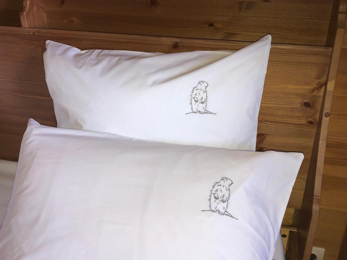 Névache Inspiration Montagne Chambre D'Hotes المظهر الخارجي الصورة